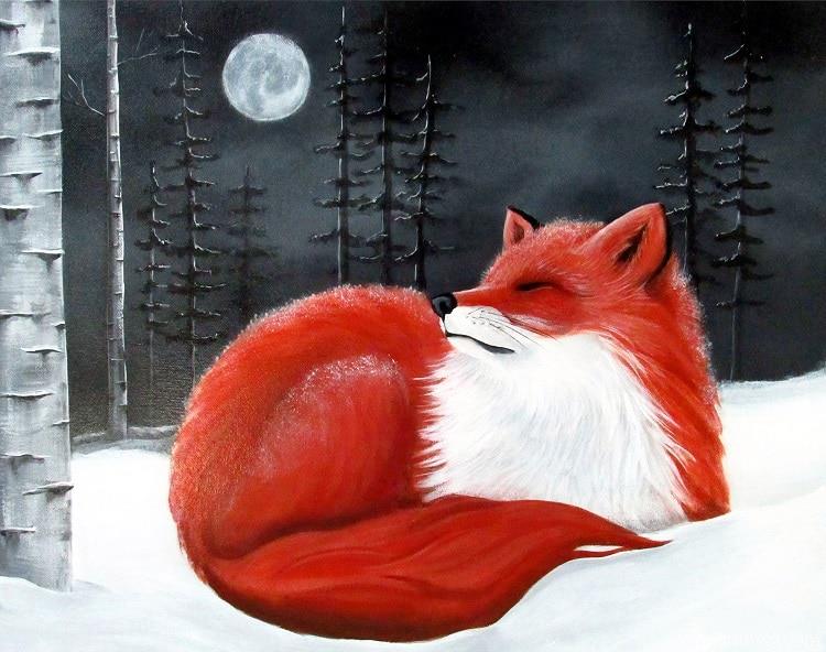 Red Fox In Snow Painting By Numbers Kits