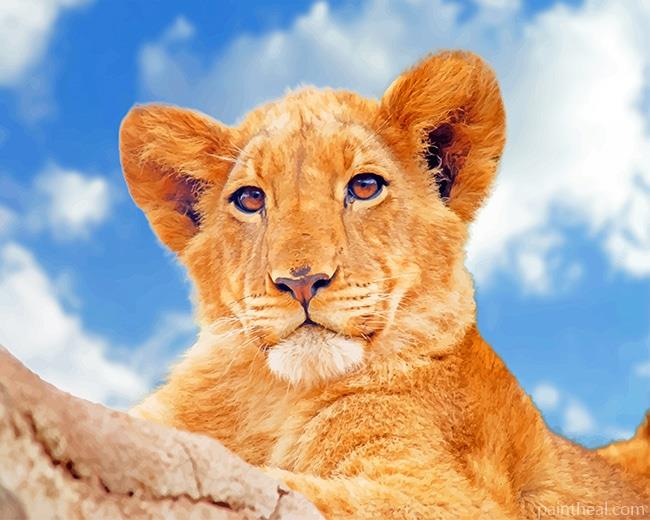 Lioness Painting By Numbers Kits