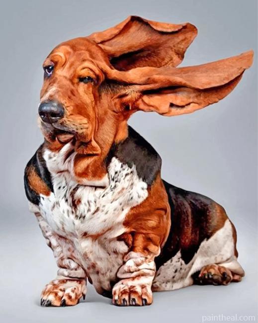 Funny Basset Hound Painting By Numbers Kits