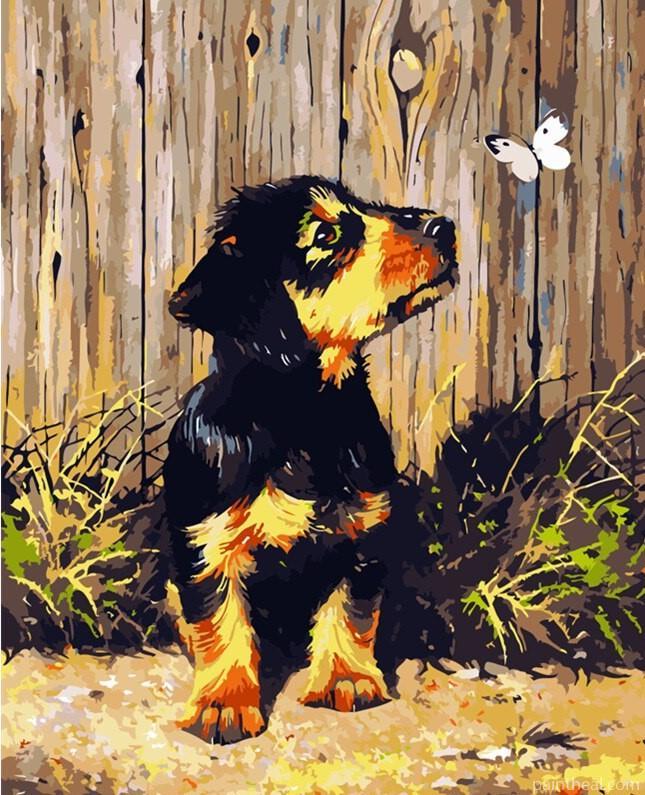 Dog And Butterfly Painting By Numbers Kits