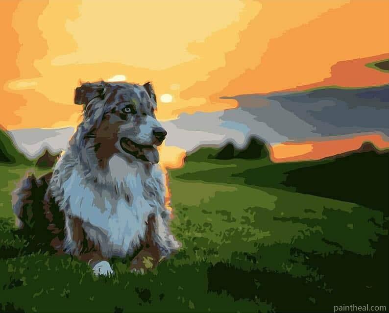 Dog On Grass Painting By Numbers Kits
