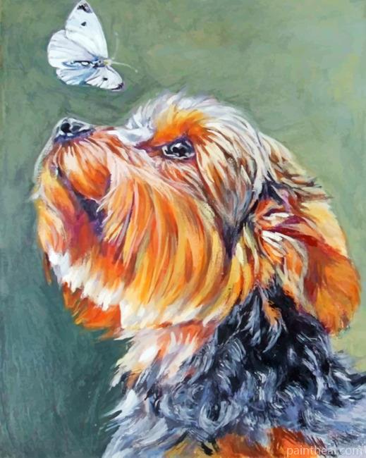 Yorkie And Butterfly Painting By Numbers Kits
