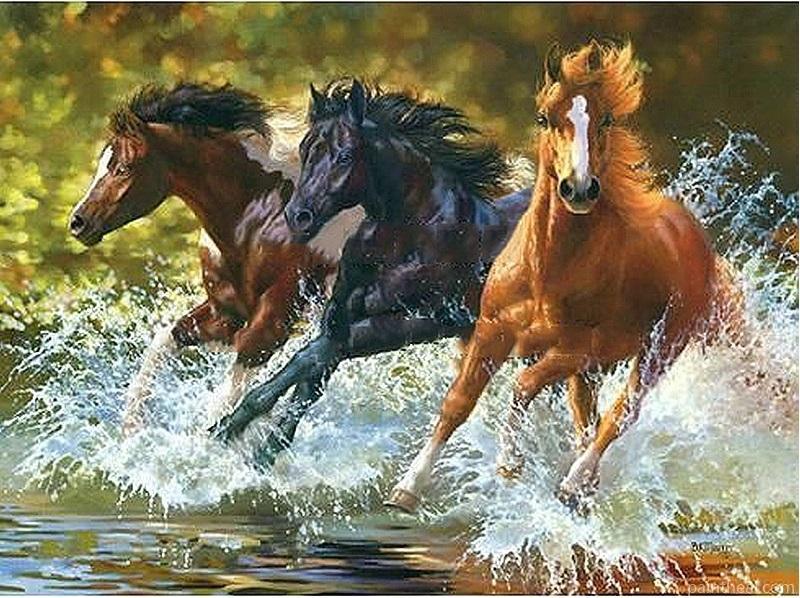Horses Running In River Painting By Numbers Kits