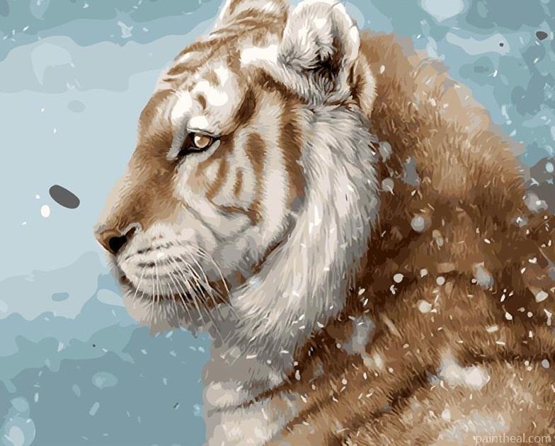 Snow Tiger Painting By Numbers Kits