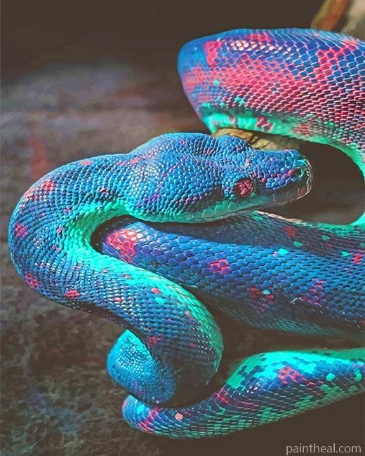 Rainbow Shimmering Snake Painting By Numbers Kits