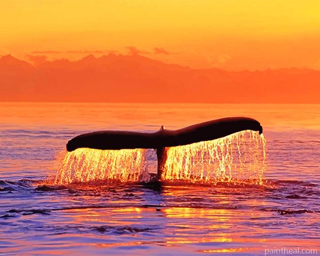 Sunset Whale Fluke Painting By Numbers Kits