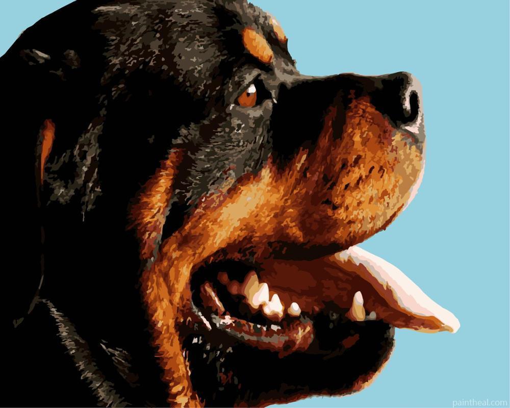Dog Tongue Out Painting By Numbers Kits