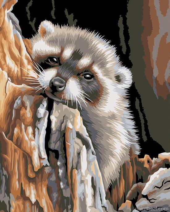 Sleepy Raccoon Painting By Numbers Kits
