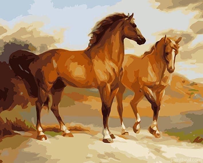 Two Brown Horses Painting By Numbers Kits