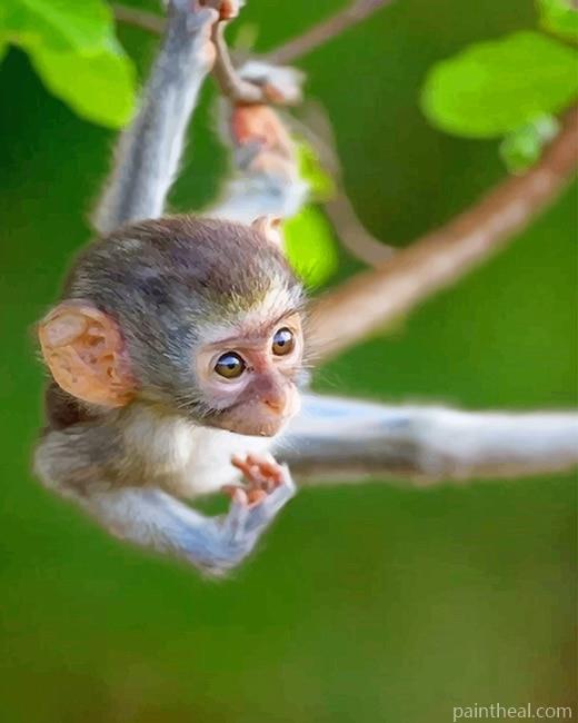 Baby Monkey Painting By Numbers Kits