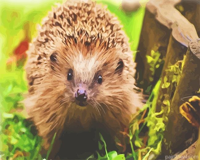 Cute Hedgehog Painting By Numbers Kits