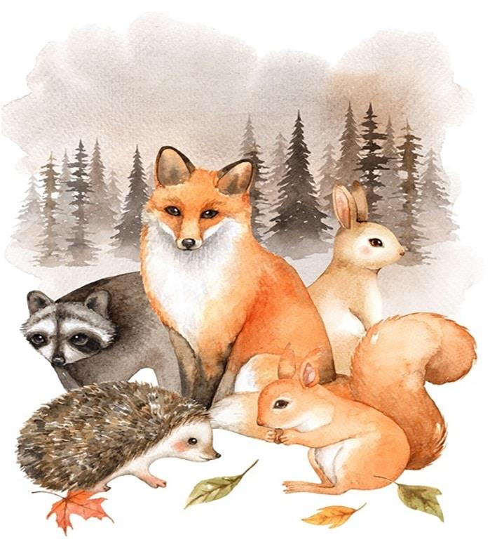 Fox And His Friends Painting By Numbers Kits