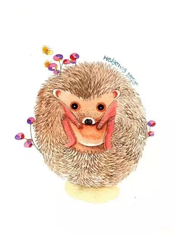 Hedgehog Art Painting By Numbers Kits