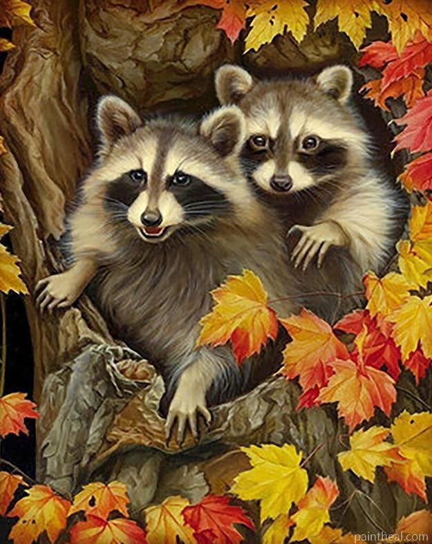Two Raccoons Painting By Numbers Kits