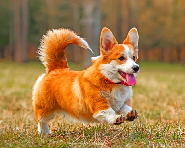 Cute Corgi Painting By Numbers Kits