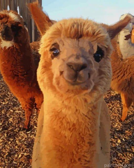 Alpaca Animal Smiling Painting By Numbers Kits