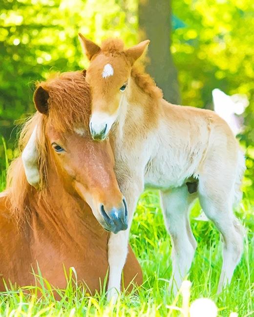 Horse Family Painting By Numbers Kits