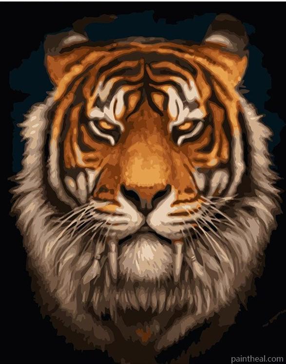 Tiger Head Painting By Numbers Kits