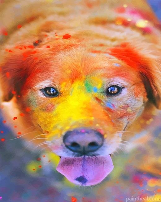 Cute Colorful Dog Painting By Numbers Kits