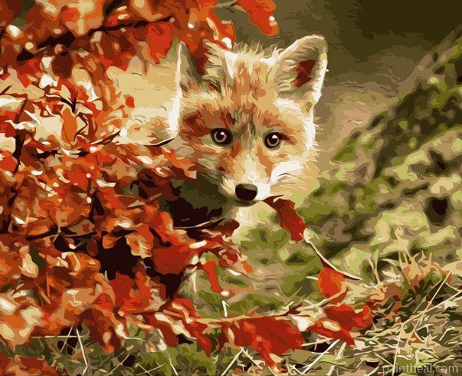 Fox Pup In Forest Painting By Numbers Kits