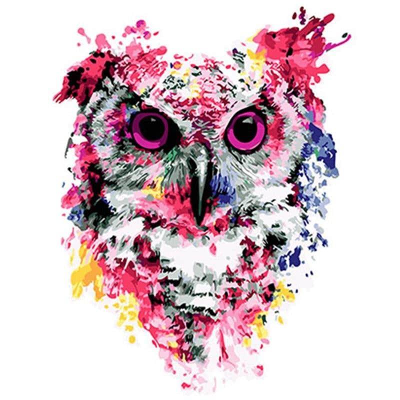 Colorful Art Owl Painting By Numbers Kits