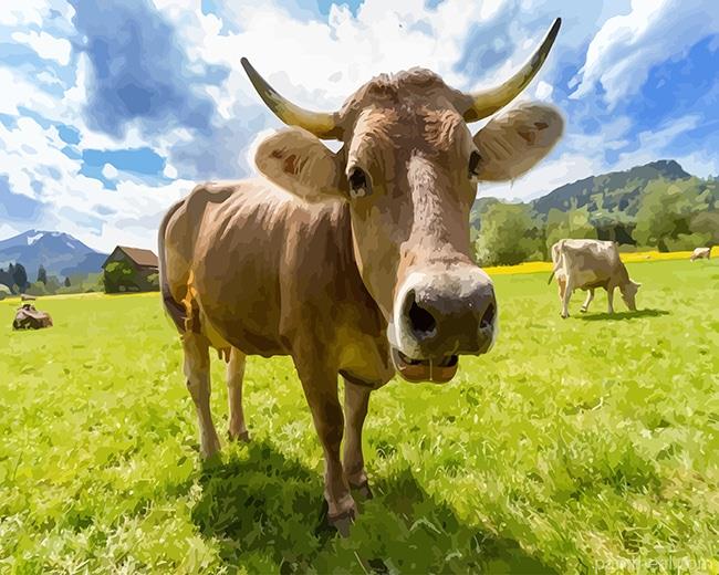 Cow Animal Painting By Numbers Kits