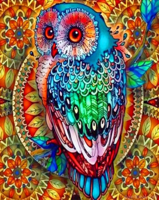 Colorful Mandala Owl Painting By Numbers Kits