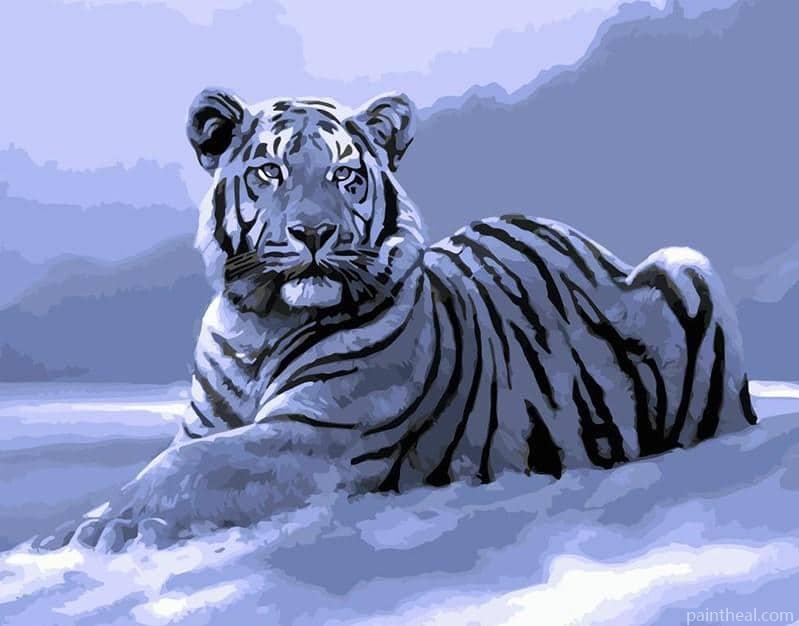 White Tiger In Snow Painting By Numbers Kits