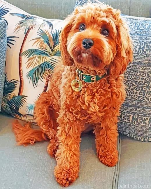 Cockapoo Puppy Painting By Numbers Kits