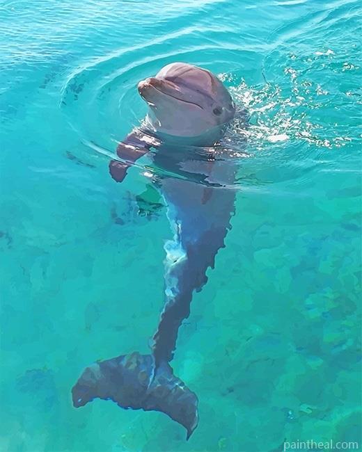 Dolphin In The Beach Painting By Numbers Kits