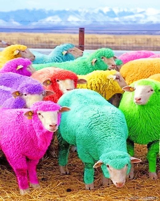 Colorful Sheep Painting By Numbers Kits