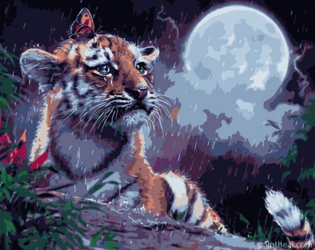 Tiger In The Rain Painting By Numbers Kits