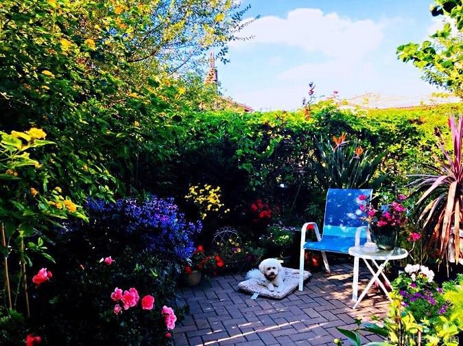 Dog In House Garden Painting By Numbers Kits