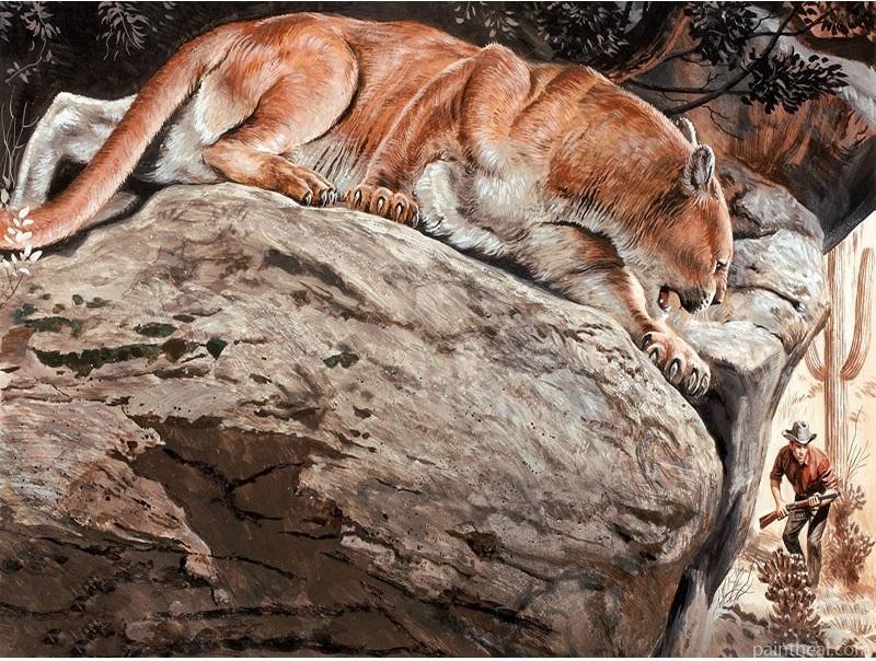 Cougar Animal Painting By Numbers Kits