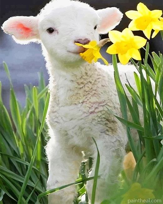 Little Lamb Painting By Numbers Kits