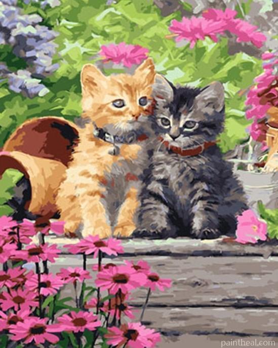 Pretty Kittens Painting By Numbers Kits