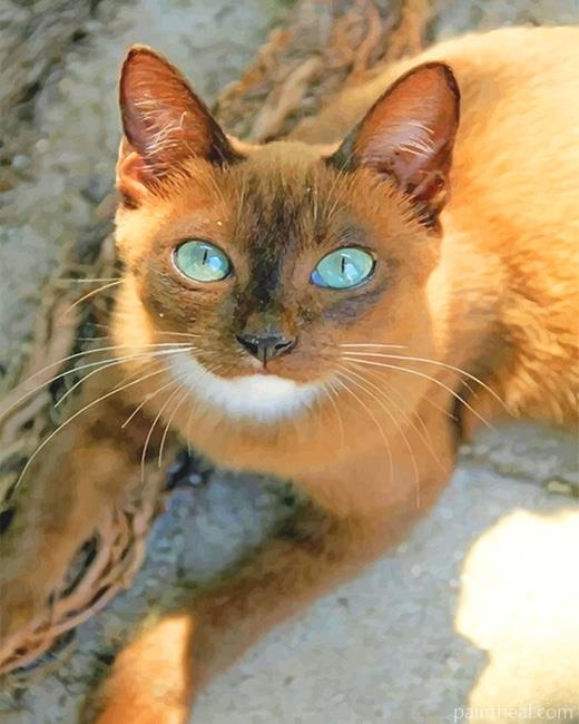 Thai Temple Cat Painting By Numbers Kits