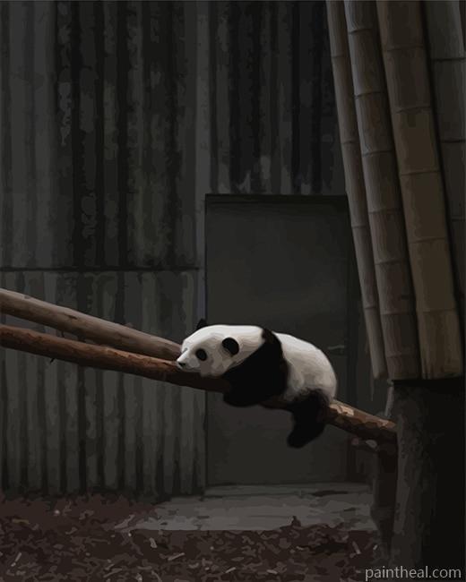 Sad Panda Painting By Numbers Kits