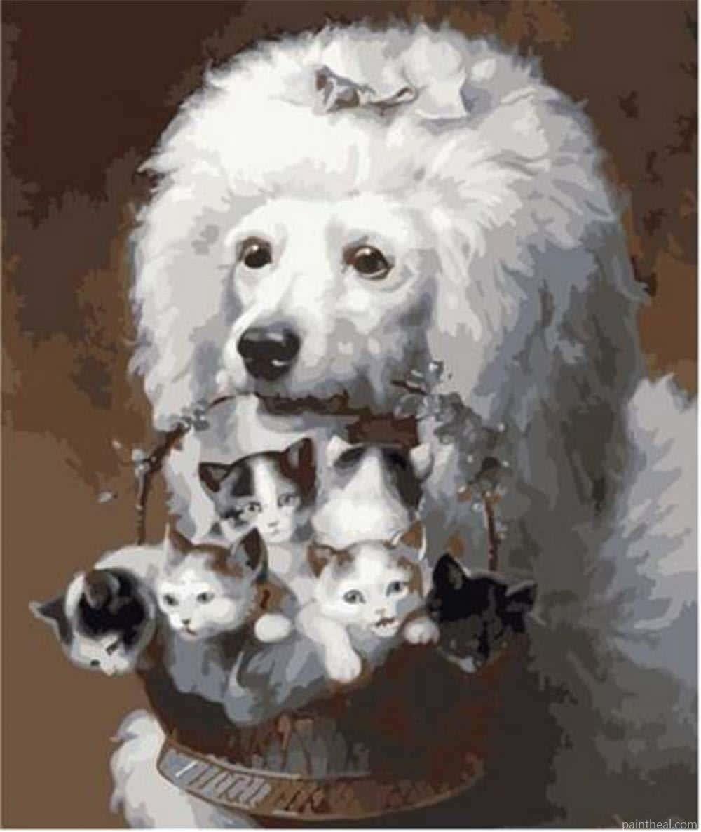 Poodle Dog With Cats Basket Painting By Numbers Kits