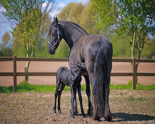 Friesian Horses Painting By Numbers Kits