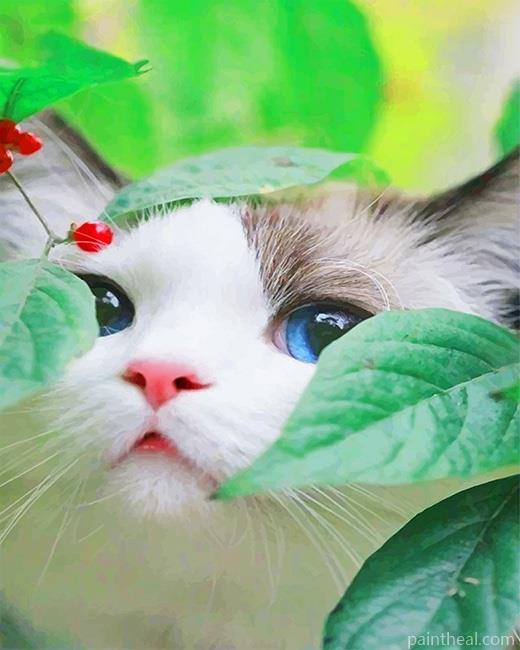 Cute Kitty Painting By Numbers Kits