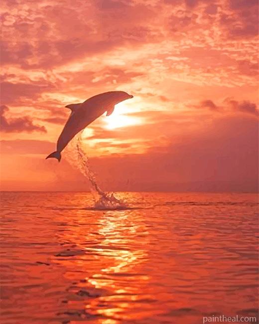 Dolphin In Beach At Sunset Painting By Numbers Kits