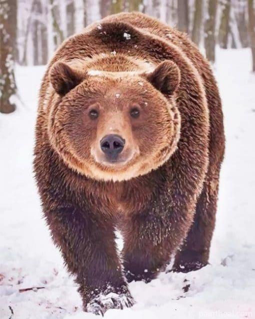Grizzly Bear In The Snow – 5D Diamond Paintings Painting By Numbers Kits