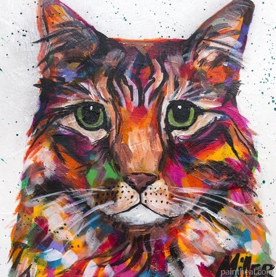 Colorful Tabby Cat Painting By Numbers Kits