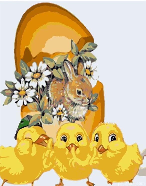 Chicks And Rabbit Painting By Numbers Kits