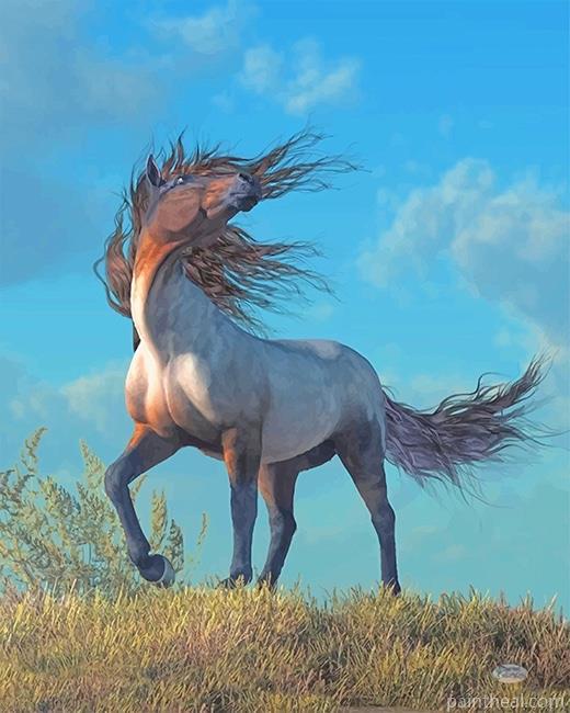 Stallion Grey Horse Painting By Numbers Kits