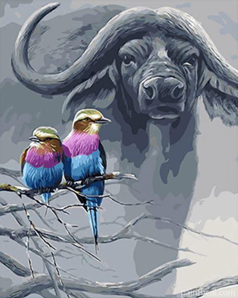 Buffalo And Birds Painting By Numbers Kits