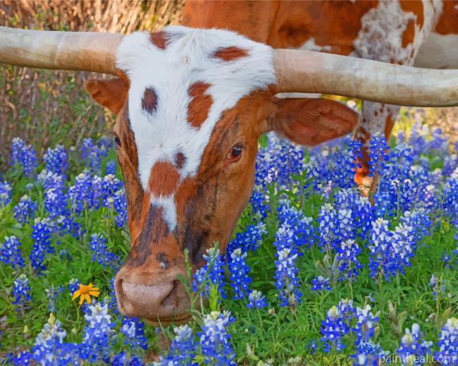 Texas Longhorn In Bluebonnets Painting By Numbers Kits