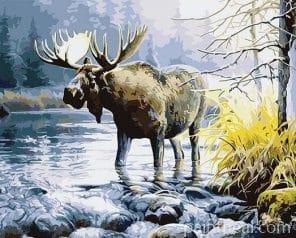 Moose in River Painting By Numbers Kits