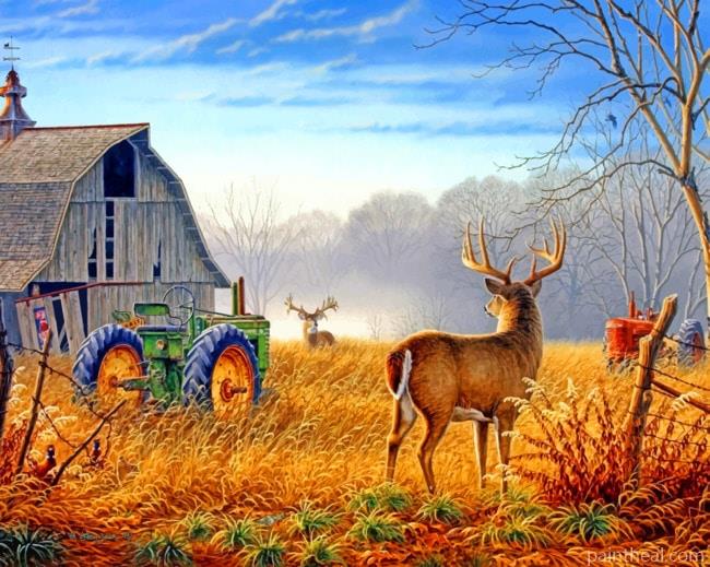 Country Scenes Painting By Numbers Kits